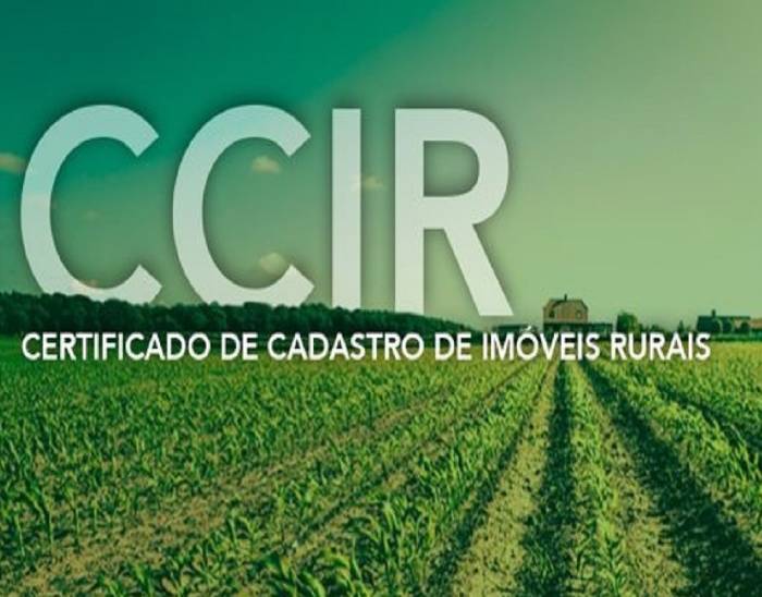 CCIR