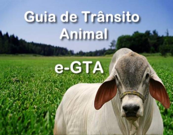 GTA 1
