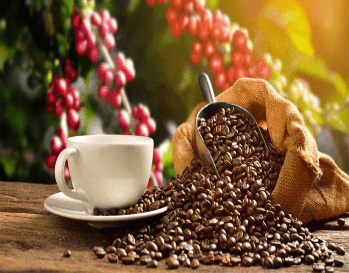 cafe (1)